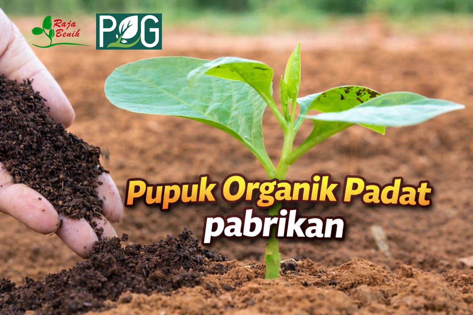 Pupuk Organik Padat Pabrikan sebagai Solusi Pemupukan yang Konsisten dan Terstandar